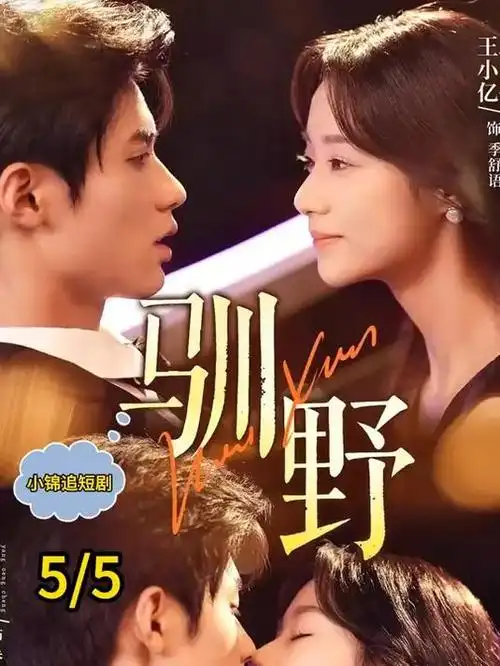 半糖时刻 都市情感剧